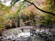... e un'ultimo ponte preludono l'arrivo al Pian di Boit...........